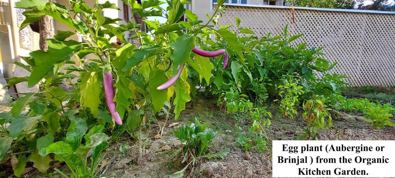 Ikraam Inn Bed&Breakfast Srinagar  Bagian luar foto